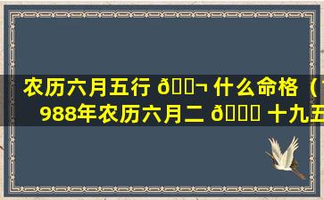 农历六月五行 🐬 什么命格（1988年农历六月二 🕊 十九五行缺什么命格）